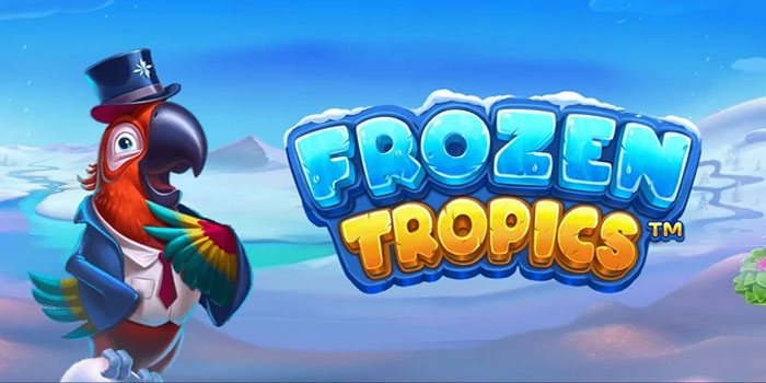 Strategi Slot Frozen Tropics Untuk Pemula Agar Cepat Profit